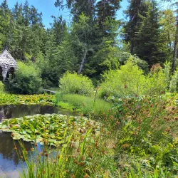 Tofino Botanical Gardens - Tofino