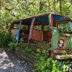 Tofino Botanical Gardens - Tofino