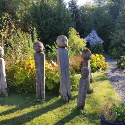 Tofino Botanical Gardens - Tofino