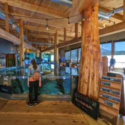 Ucluelet Aquarium - Tofino