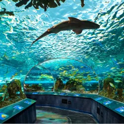 Ripley's Aquarium of Canada - Toronto