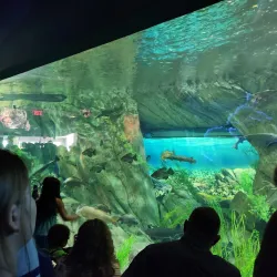 Ripley's Aquarium of Canada - Toronto