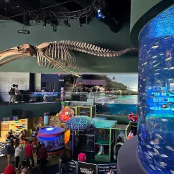 Ripley's Aquarium of Canada - Toronto