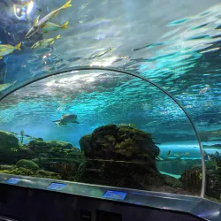 Ripley's Aquarium of Canada - Toronto