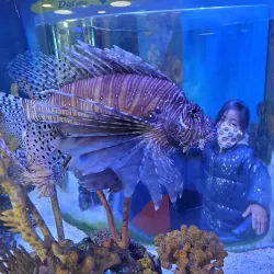 Ripley's Aquarium of Canada - Toronto