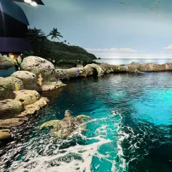 Ripley's Aquarium of Canada - Toronto