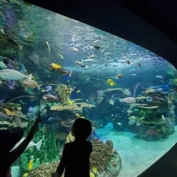 Ripley's Aquarium of Canada - Toronto