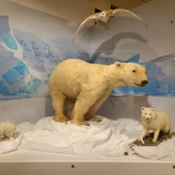 Royal Ontario Museum (ROM) - Toronto