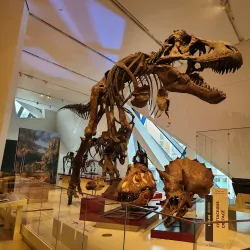 Royal Ontario Museum (ROM) - Toronto