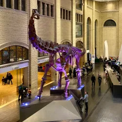 Royal Ontario Museum (ROM) - Toronto