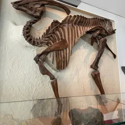 Royal Ontario Museum (ROM) - Toronto