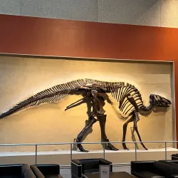 Royal Ontario Museum (ROM) - Toronto