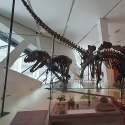 Royal Ontario Museum (ROM) - Toronto