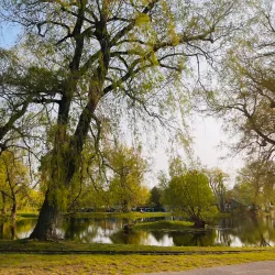 Toronto Islands - Toronto
