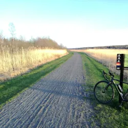 Trail Riverfront Park - Trail