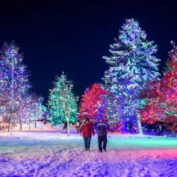 Trail Riverfront Park - Trail