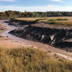 Trail Riverfront Park - Trail