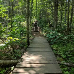 Mauricie National Park - Trois-Rivieres