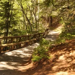 Salmon River Nature Trail - Truro