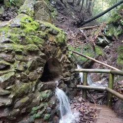 Salmon River Nature Trail - Truro