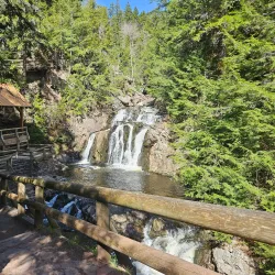 Salmon River Nature Trail - Truro