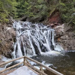 Salmon River Nature Trail - Truro