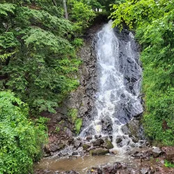 Salmon River Nature Trail - Truro
