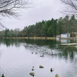 Shubenacadie Canal - Truro