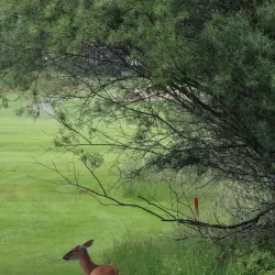 Truro Golf Club - Truro