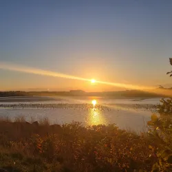 Truro Tidal Bore - Truro