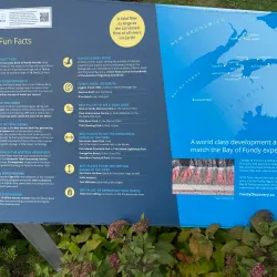 Truro Tidal Bore - Truro