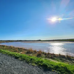 Truro Tidal Bore - Truro