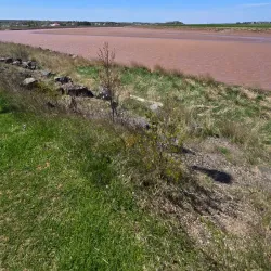 Truro Tidal Bore - Truro