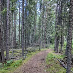 Candle Lake Provincial Park - Uranium City