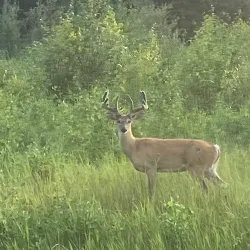 Candle Lake Provincial Park - Uranium City