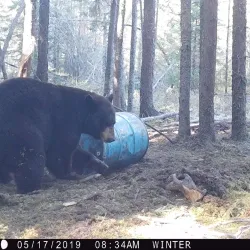 Northern Saskatchewan Wilderness - Uranium City