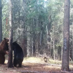 Northern Saskatchewan Wilderness - Uranium City