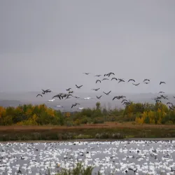 Northern Saskatchewan Wilderness - Uranium City