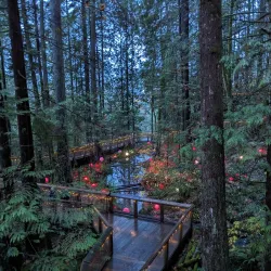 Capilano Suspension Bridge Park - Vancouver