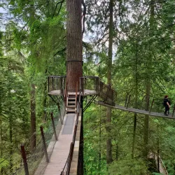 Capilano Suspension Bridge Park - Vancouver