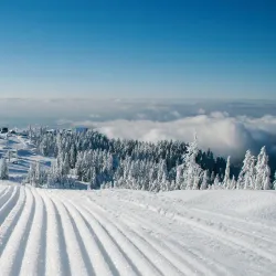 Grouse Mountain - Vancouver