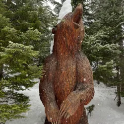 Grouse Mountain - Vancouver