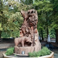 Grouse Mountain - Vancouver