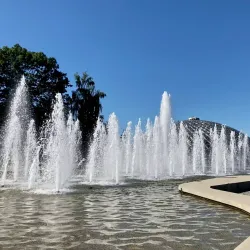 Queen Elizabeth Park - Vancouver