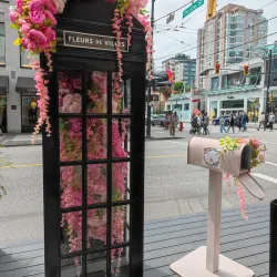 Robson Street - Vancouver