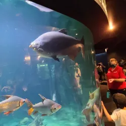 Vancouver Aquarium - Vancouver