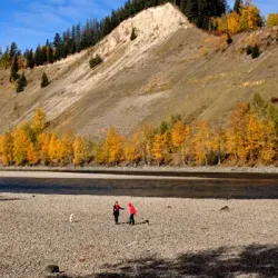 Cottonwood Island Nature Park - Vanderhoof