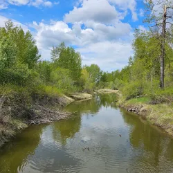Cottonwood Island Nature Park - Vanderhoof