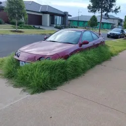 Nechako River - Vanderhoof