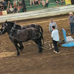 Nechako Valley Exhibition Grounds - Vanderhoof